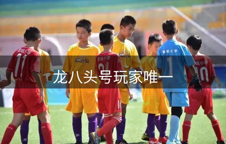 了解我们